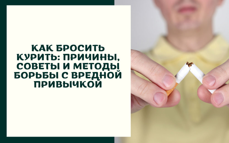 Как бросить курить: причины, советы и методы борьбы с вредной привычкой