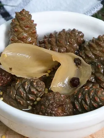 Каперсы из сосновых шишек маринованные с имбирем, 200 мл Каперсы из сосновых шишек маринованные с имбирем, 200 мл