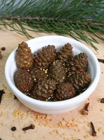 Каперсы из сосновых шишек маринованные с пряностями, 200 мл