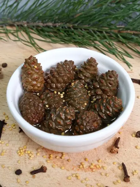 Каперсы из сосновых шишек маринованные с пряностями, 200 мл Каперсы из сосновых шишек маринованные с пряностями, 200 мл