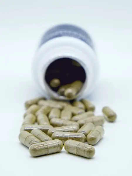 НАНОМухомор ПАНТЕРНЫЙ микродозинг 250 мг, 60 капсул